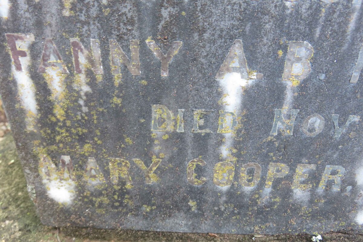 HODGKINSON Fanny A.B. Nee COOPER -1903 :: COOPER Mary -1907