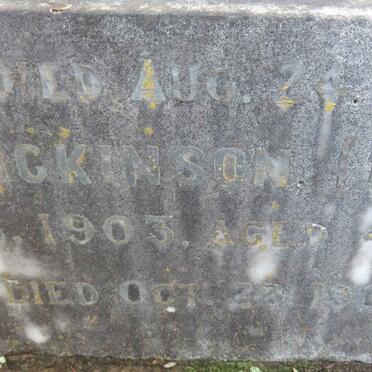 COOPER :: HODGKINSON