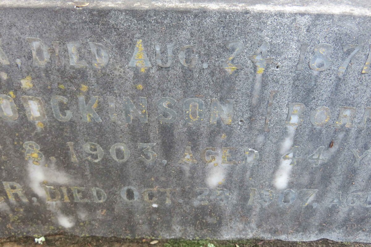 COOPER Robert -1871 :: HODGKINSON Fanny A.B. nee COOPER -1903 :: COOPER Mary -1907