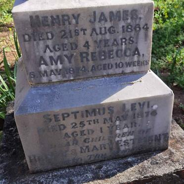 ESTMENT Henry James -1864 :: ESTMENT Amy Rebecca -1874 :: ESTMENT Septimus Levi -1876 _2