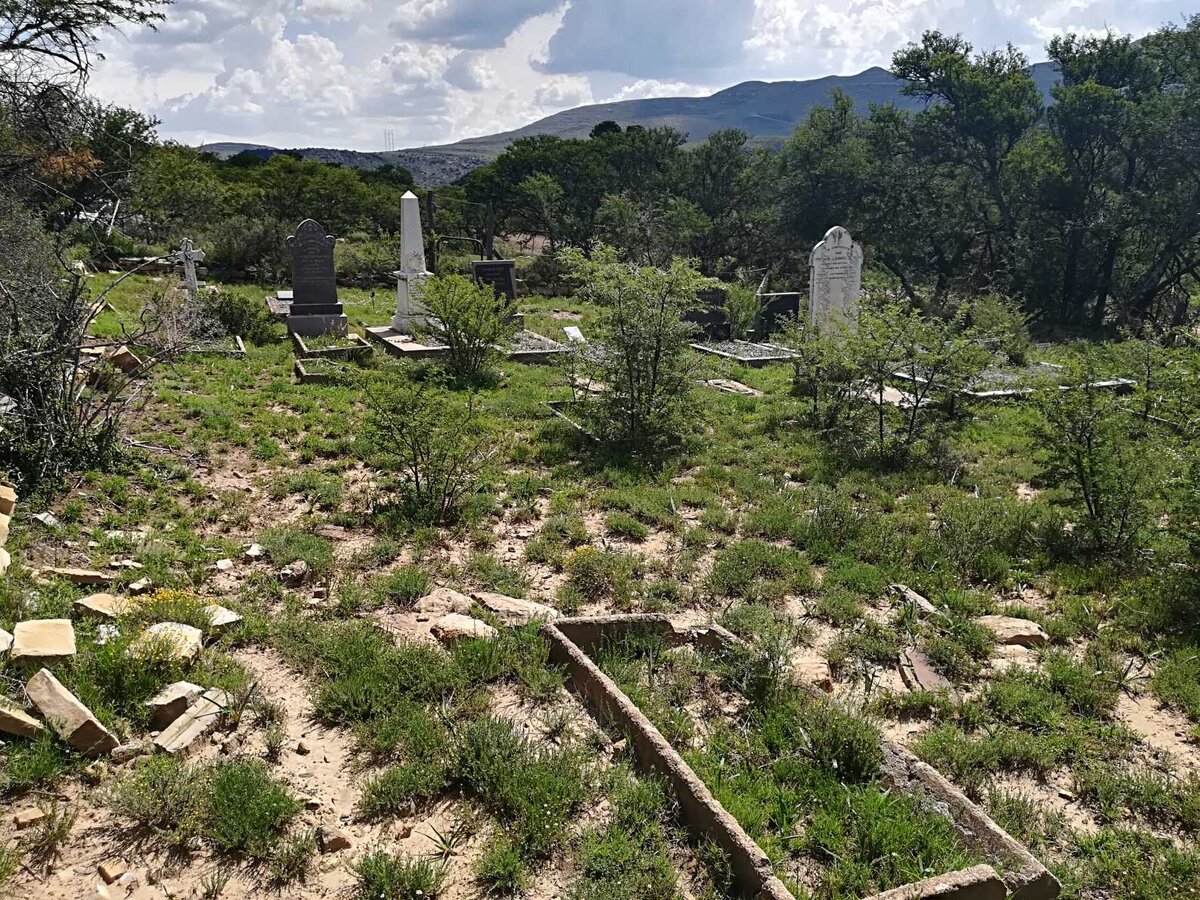 4. Overview / Oorsig