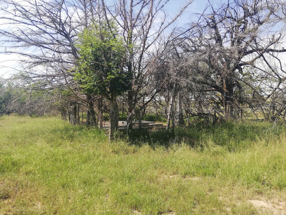 2. Oorsig / Overview