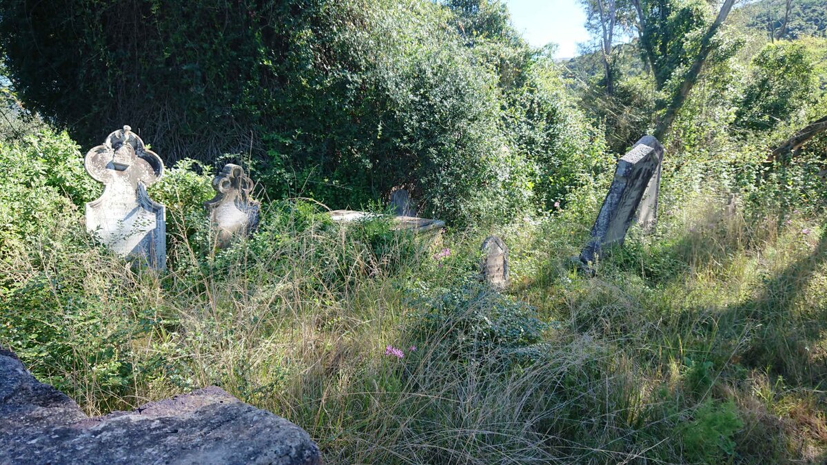 3. Overview / Oorsig