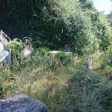 3. Overview / Oorsig