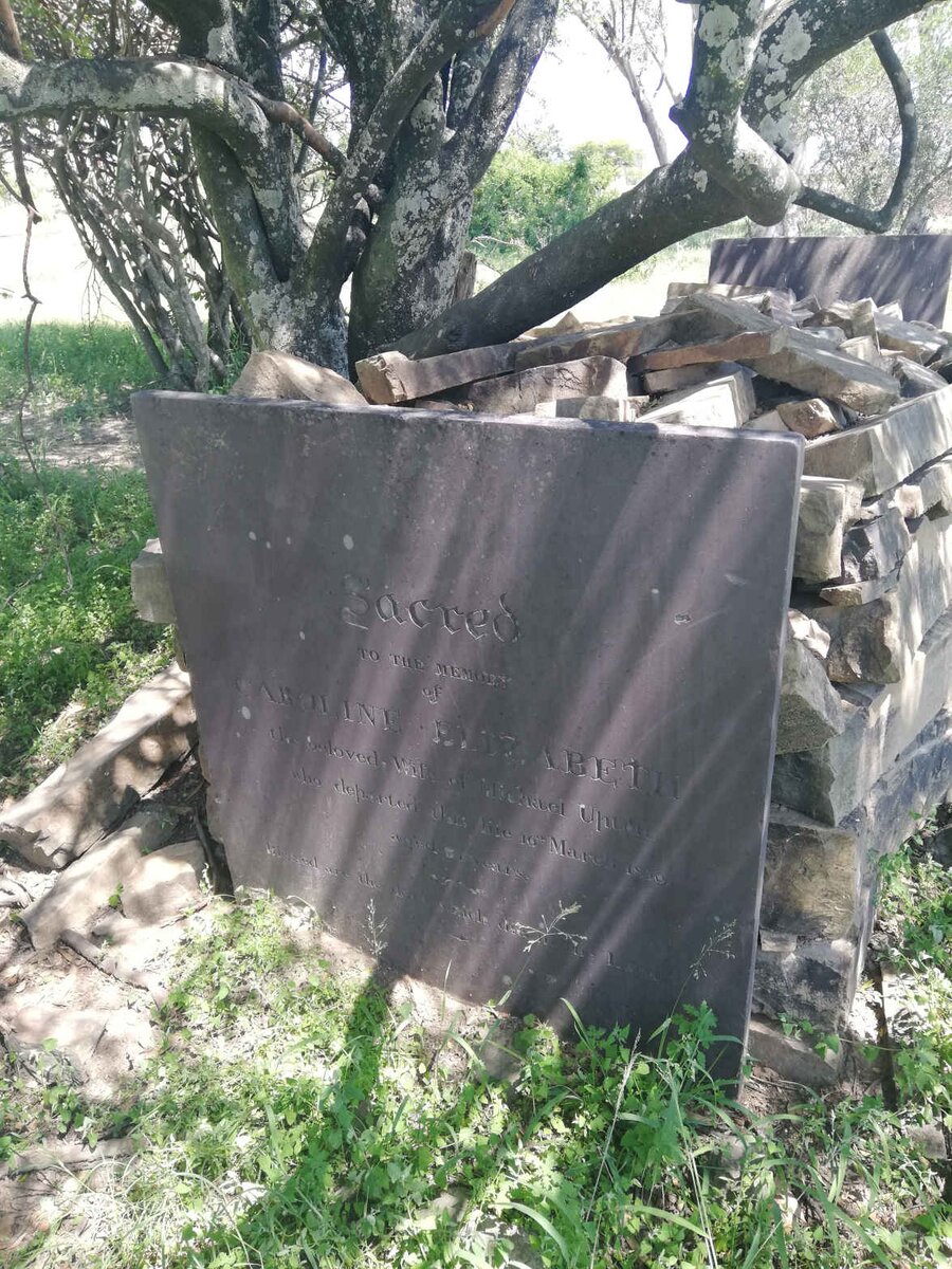 UPTON Caroline Elizabeth nee ENGELA -1856