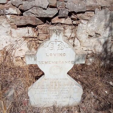 WEBBER William Nash -1880