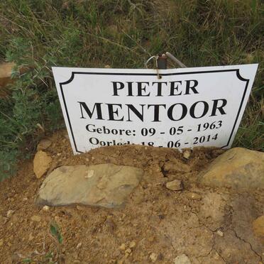 MENTOOR Pieter 1963-2014