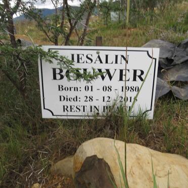 BOUWER Jesalin 1980-2015