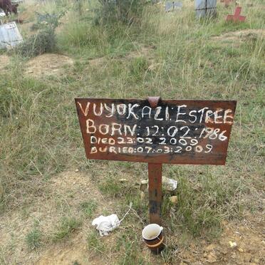 ESTREE Vuyokazi 1986-2009