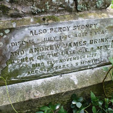 BRINK Percy Sydney -1876 :: BRINK Andrew James -1873