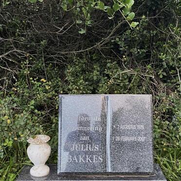 BAKKES Julius 1929-2007