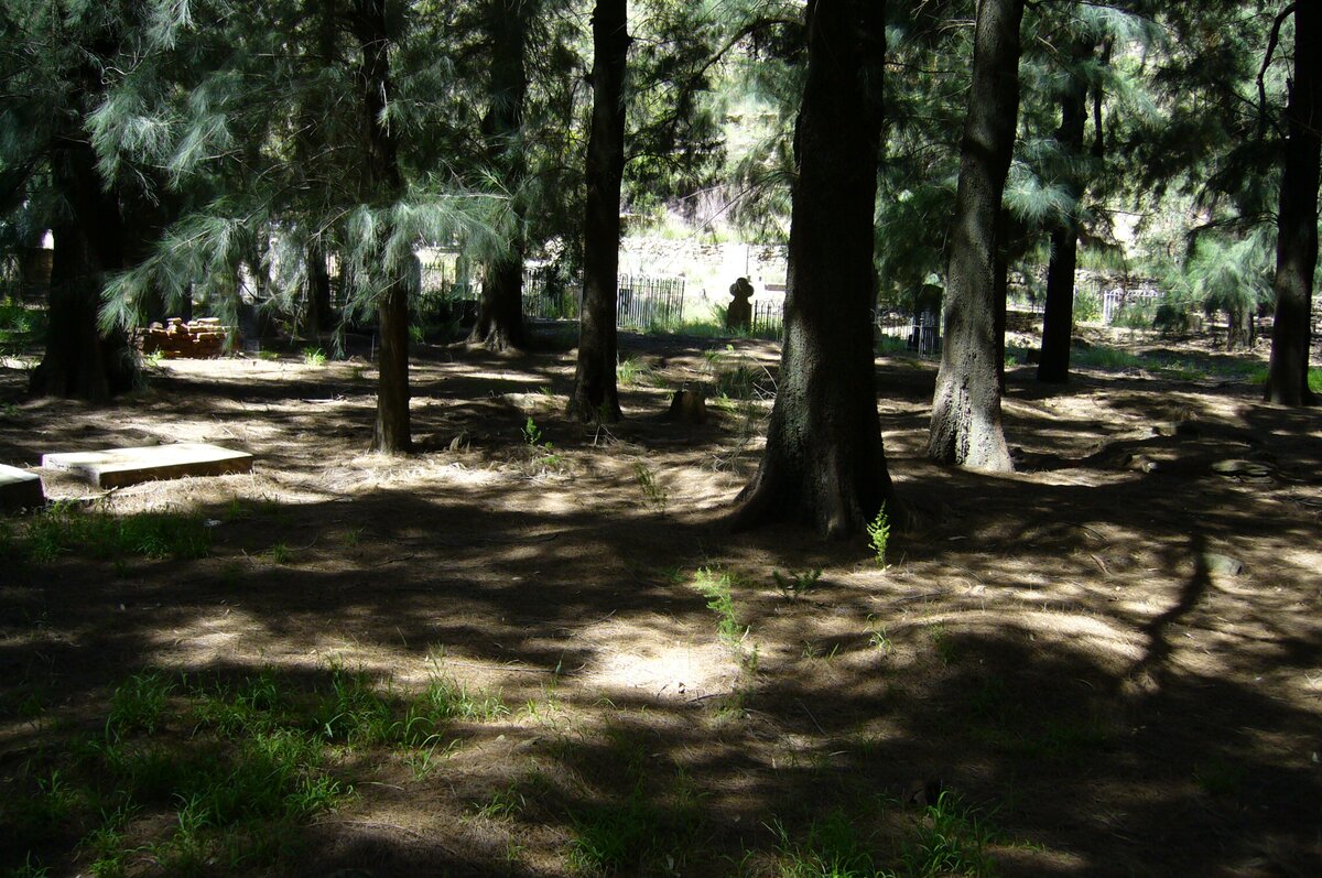 3. Overview of the cemetery