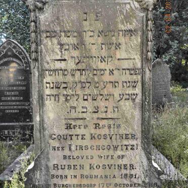 KOSVINER Goutte nee HIRSCHCOWITZ 1881-1918