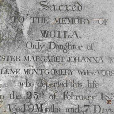 MONTGOMERY Viola -1859