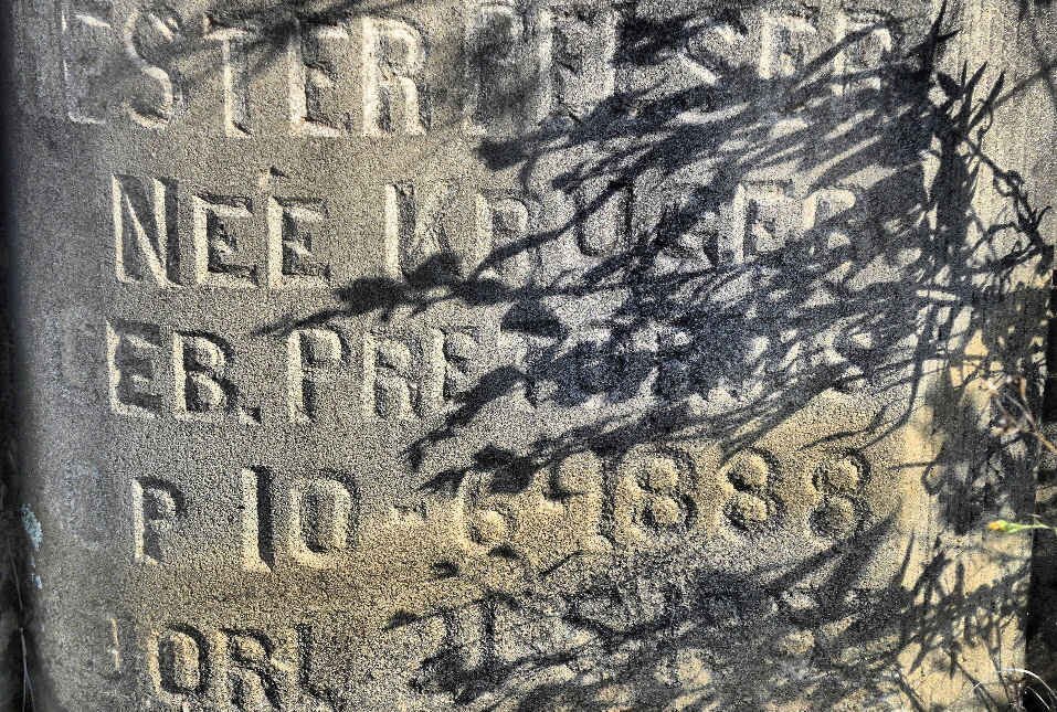 PELSER Hester, formerly KRUGER nee PRETORIUS 1888-1955