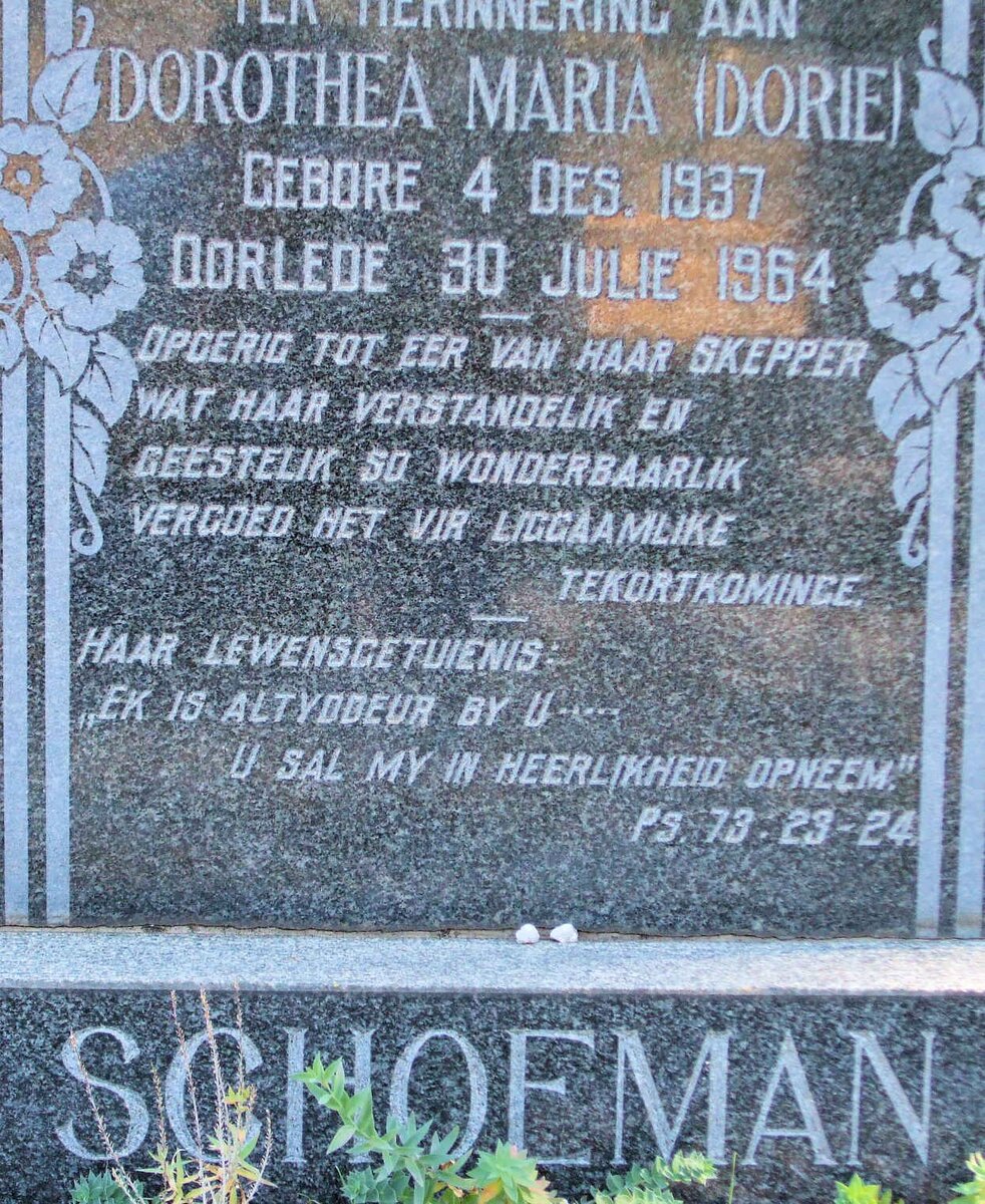 SCHOEMAN Dorothea Maria 1937-1964