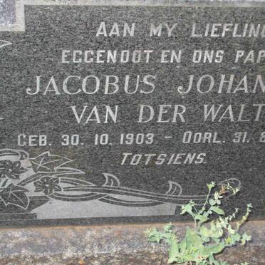 WALT Jacobus Johannes, van der 1903-1965