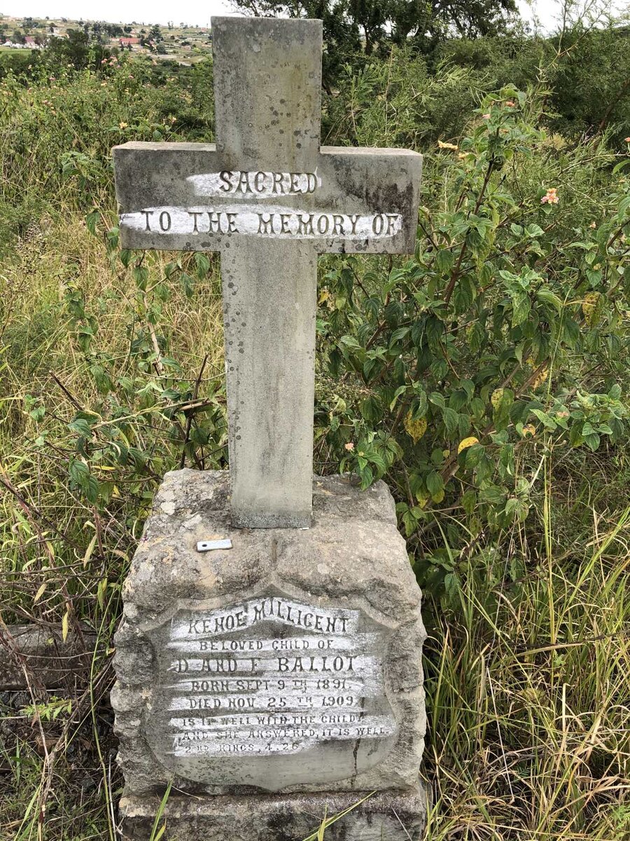 BALLOT Kenoe Millicent 1891-1909