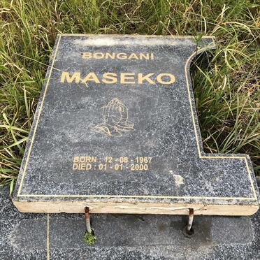 MASEKO Bongani 1967-2000