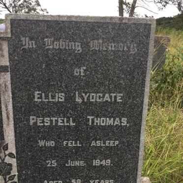 THOMAS Ellis Lydgate Pestell -1949