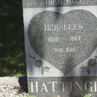 HATTINGH Hercules 1898-1967