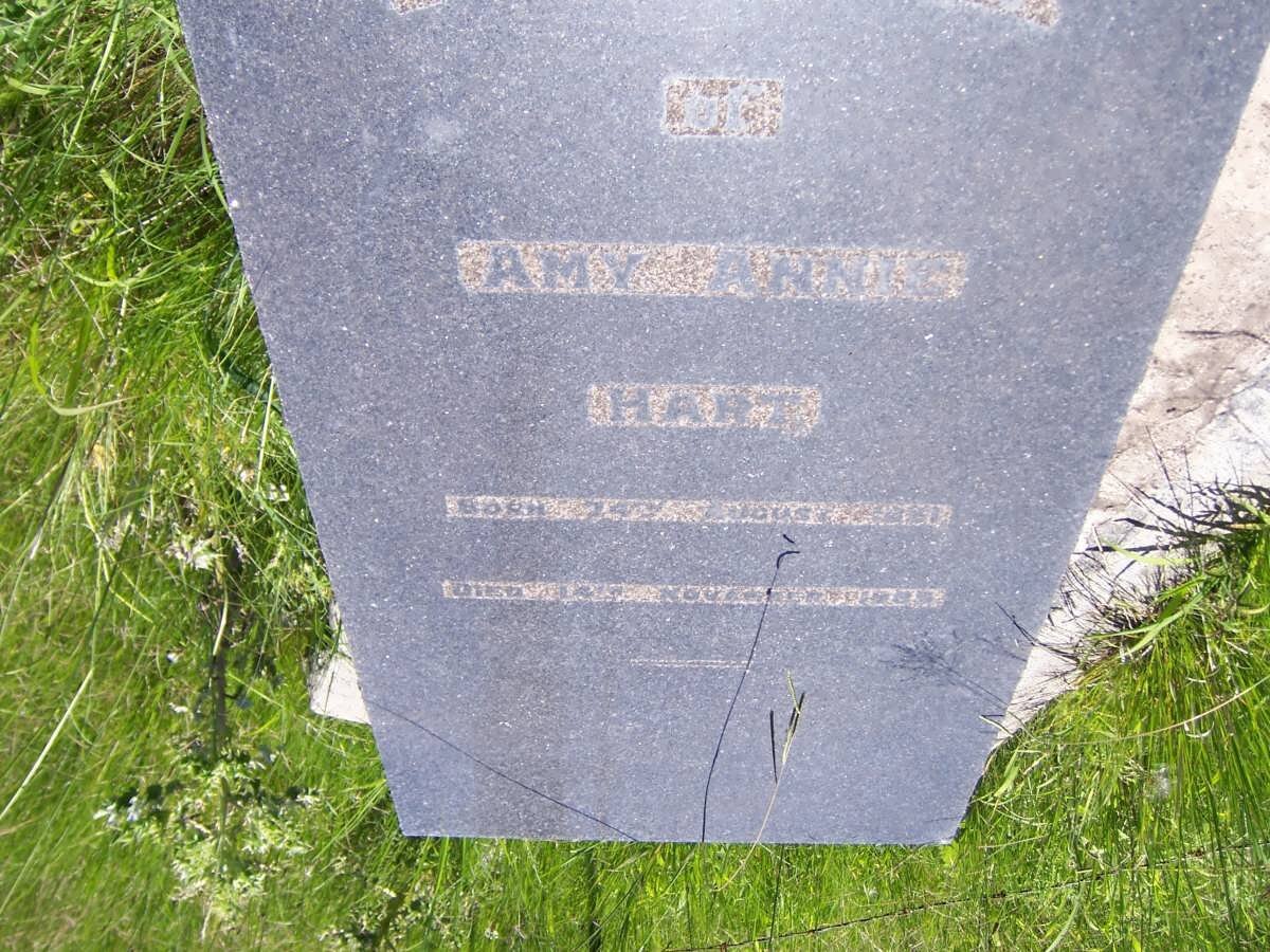 HART Amy Annie -1895