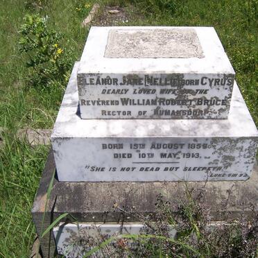 BRUCE Eleanor Jane nee CYRUS 1855-1913
