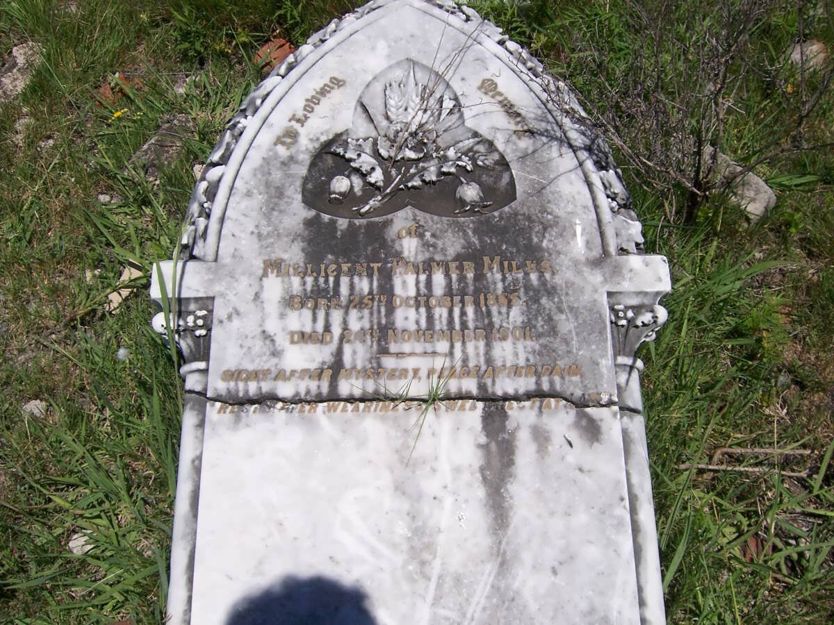 MILLS Millicent Palmer 1855-1901