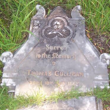 CULLINAN Thomas 18??-