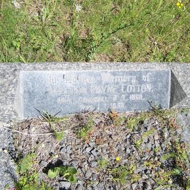 COTTON William Payne 1868-1953