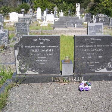LANGEVELDT Pieter Johannes 1897-1977 &amp; Maria Catharina van ZYL 1900-1968