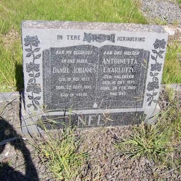 NEL Daniel Johannes 1872-1953 &amp; Antoinetta Charlotte HALGREEN 1873-1969