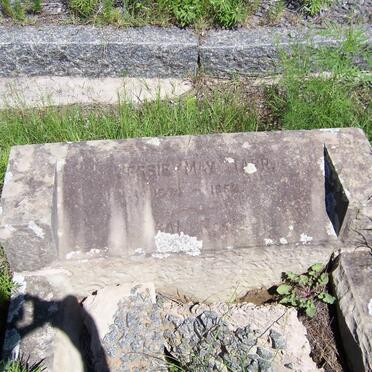 TARR Jessie May 1874-1952