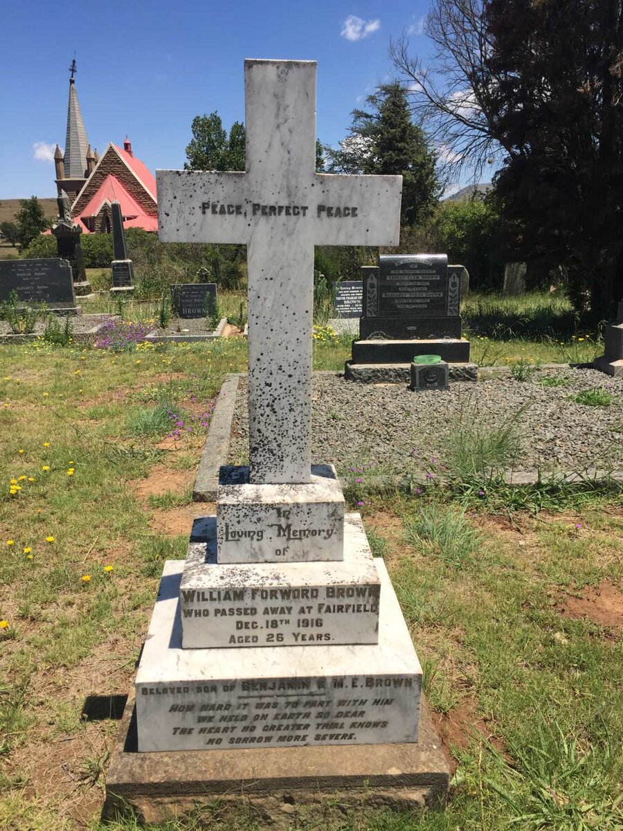 BROWN William Forword  -1916