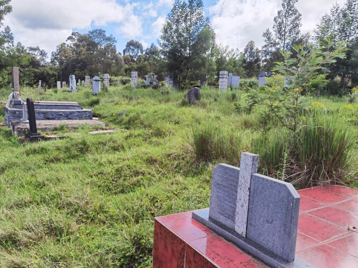 1. Overview / Oorsig