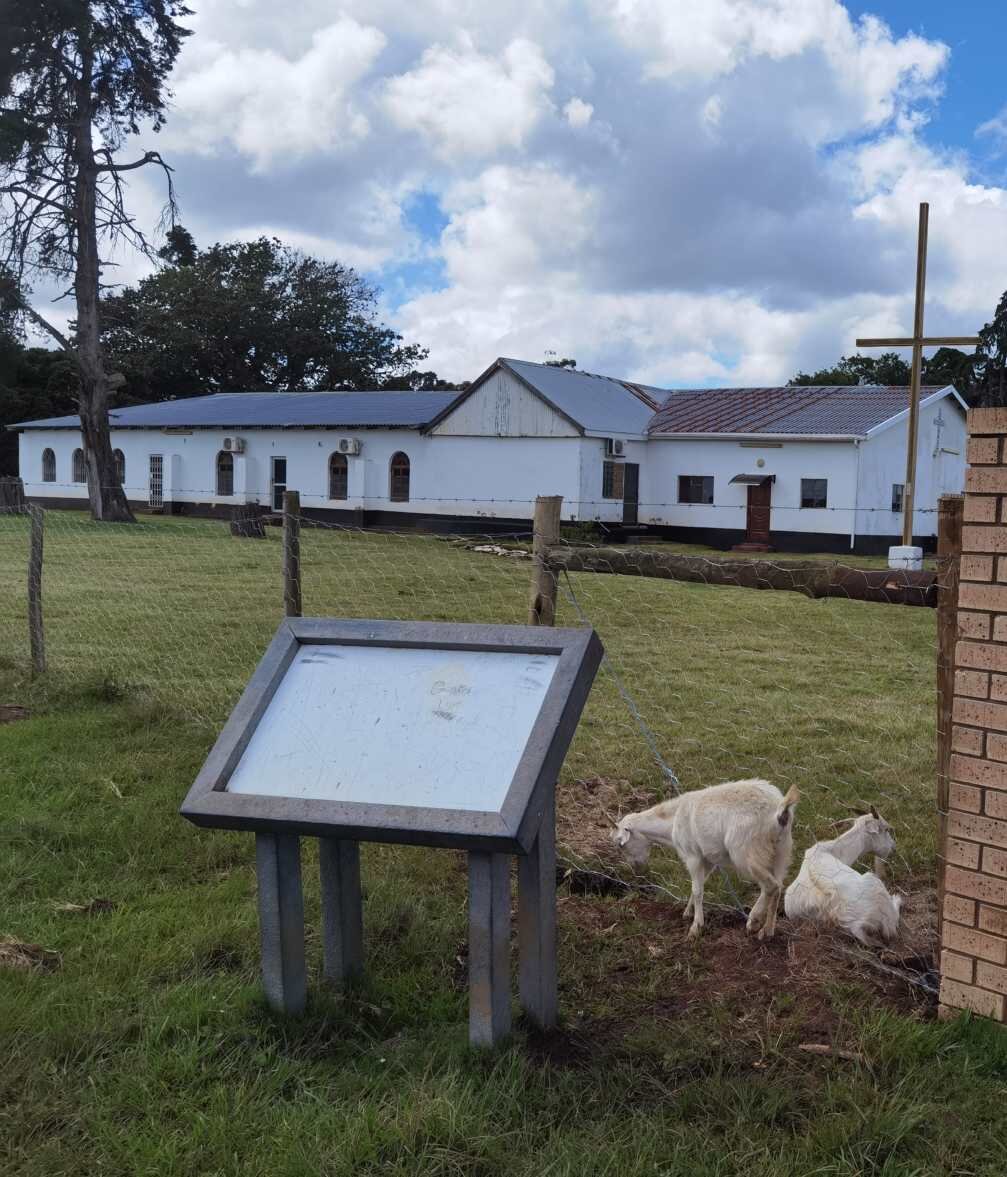 2. Overview / Oorsig