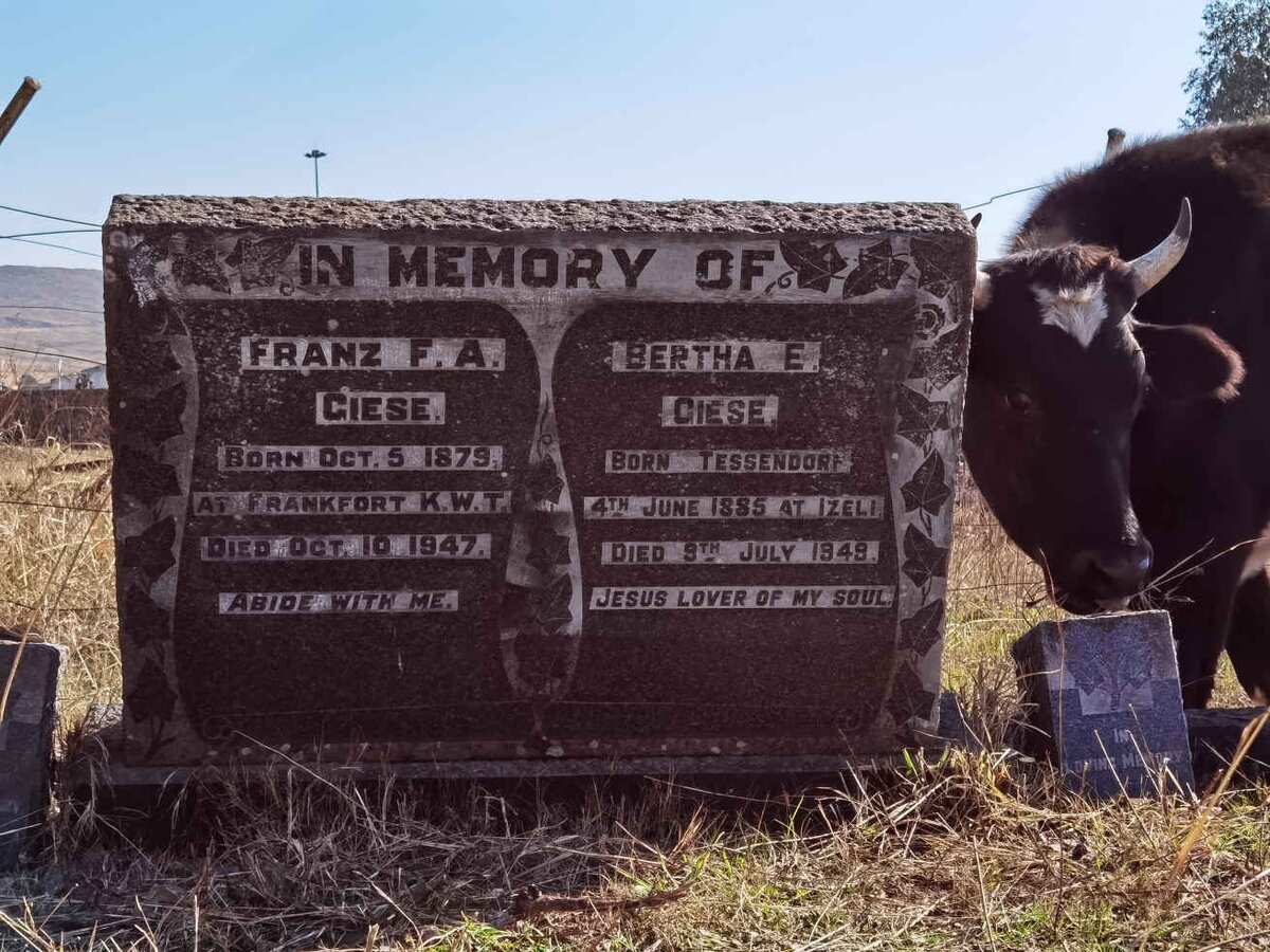 GIESE Franz F.A. 1879-1947 &amp; Bertha E. TESSENDORF 1885-1949