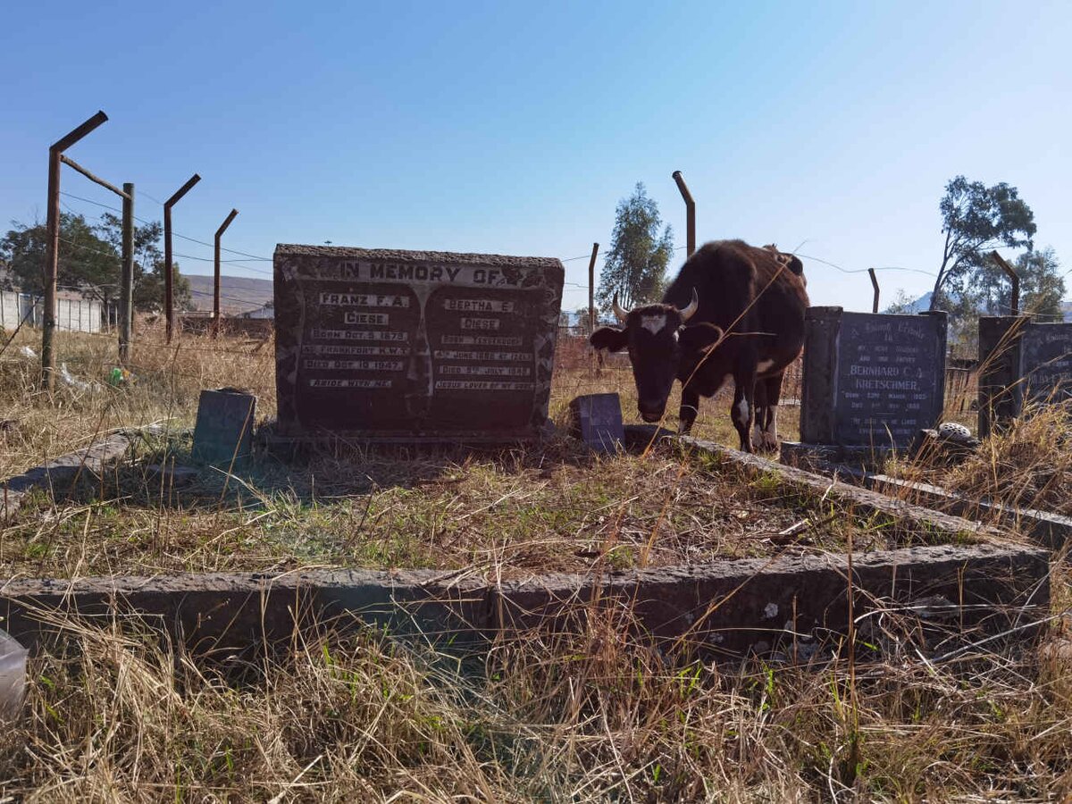 3. Visitor to the cemetery