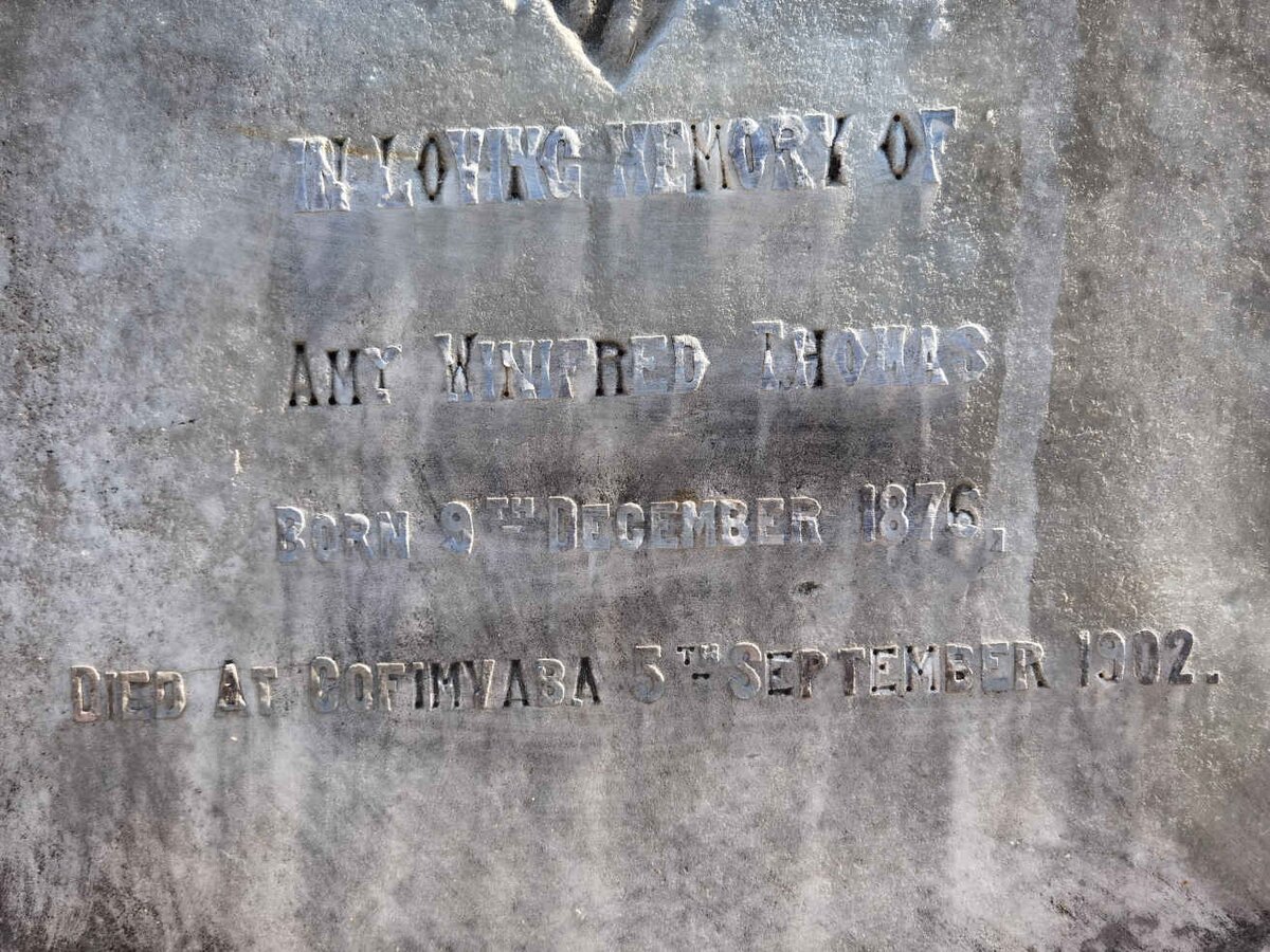 THOMAS Amy Winifred 1876-1902