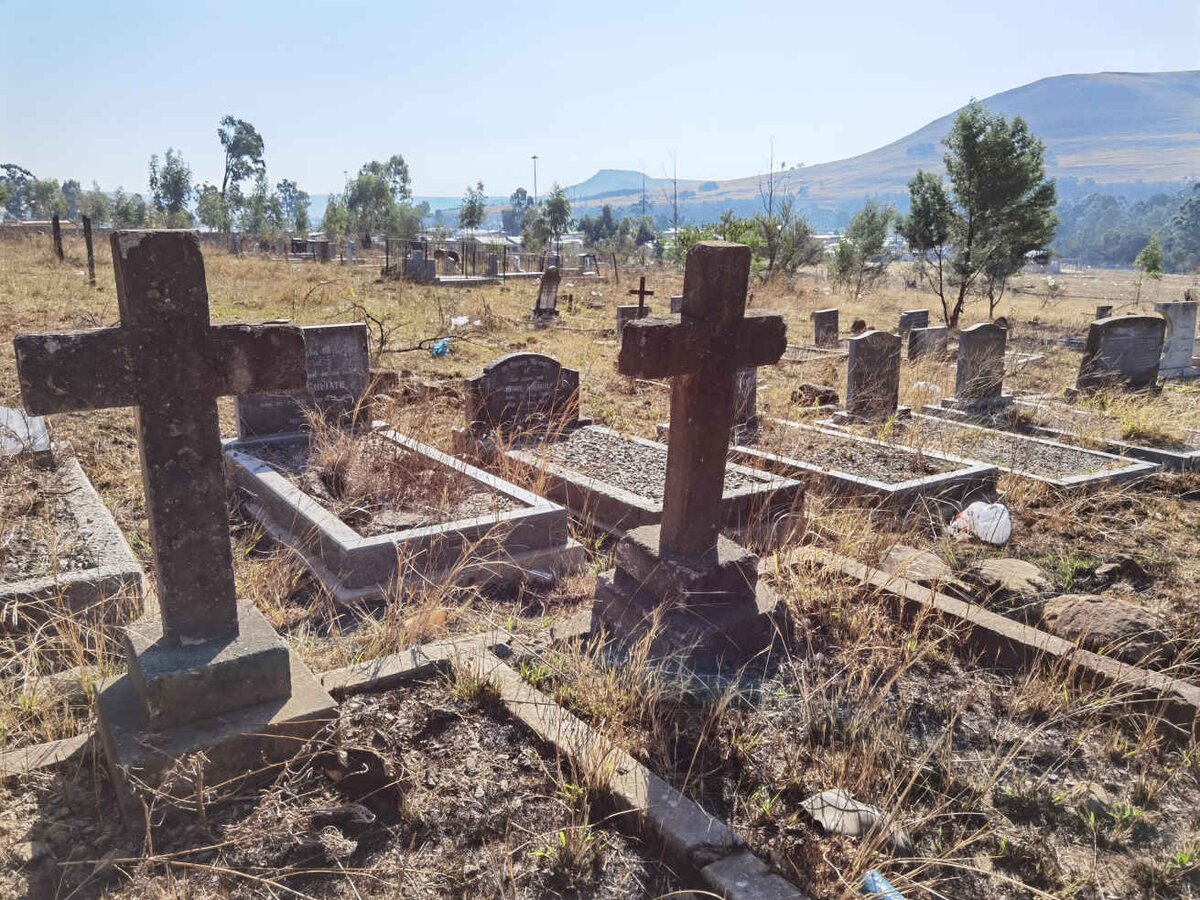 2. Overview / Oorsig