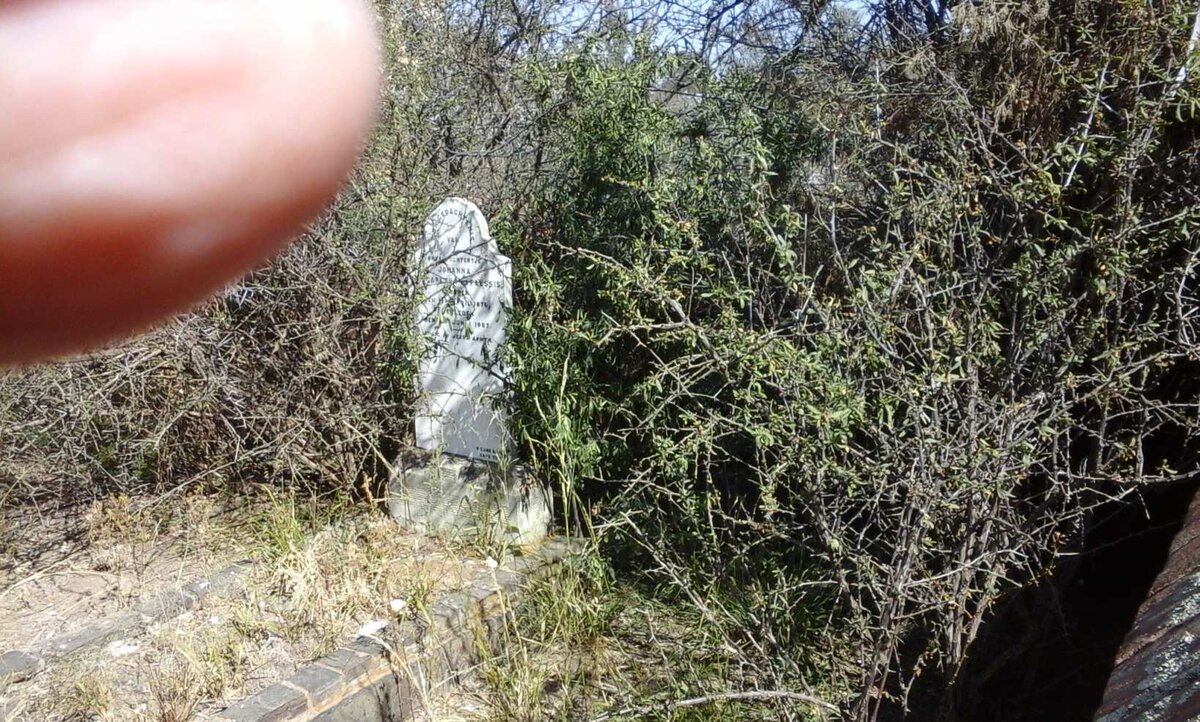 PLESSIS Johanna Margaritha, du -1887