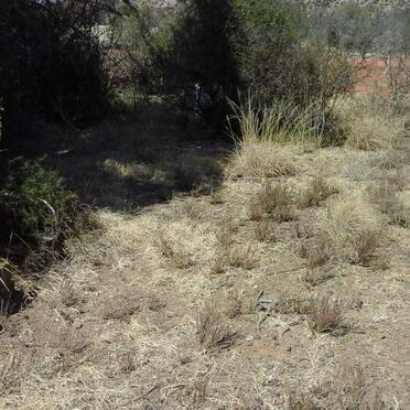 2. Overview inside walled section