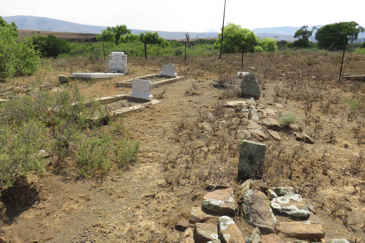 3. Overview / Oorsig