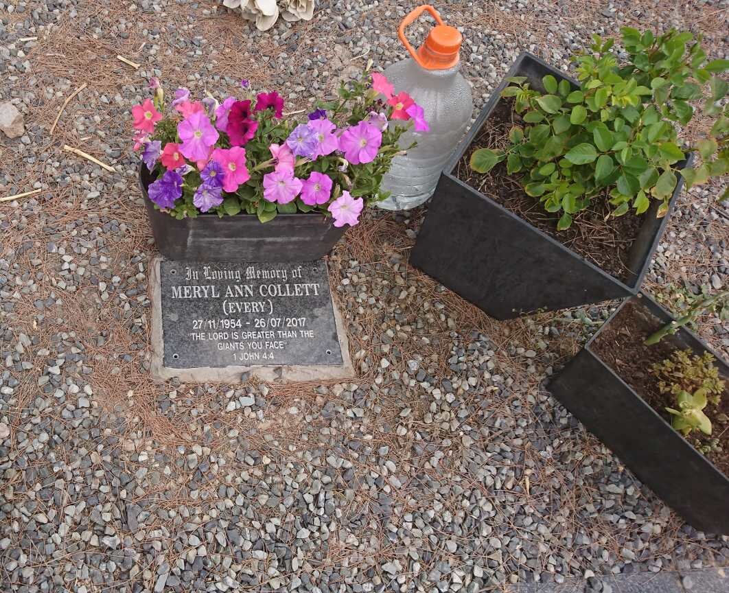 COLLETT Meryl Ann nee EVERY 1954-2017