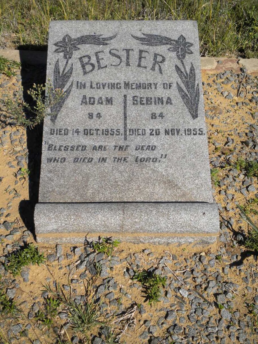 BESTER Adam -1955 &amp; Sebina -1955