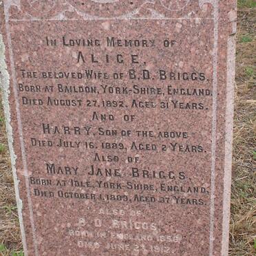 BRIGGS B.D. 1856-1912 &amp; Alice -1892 :: BRIGGS Harry -1889  :: BRIGGS Mary Jane -1889