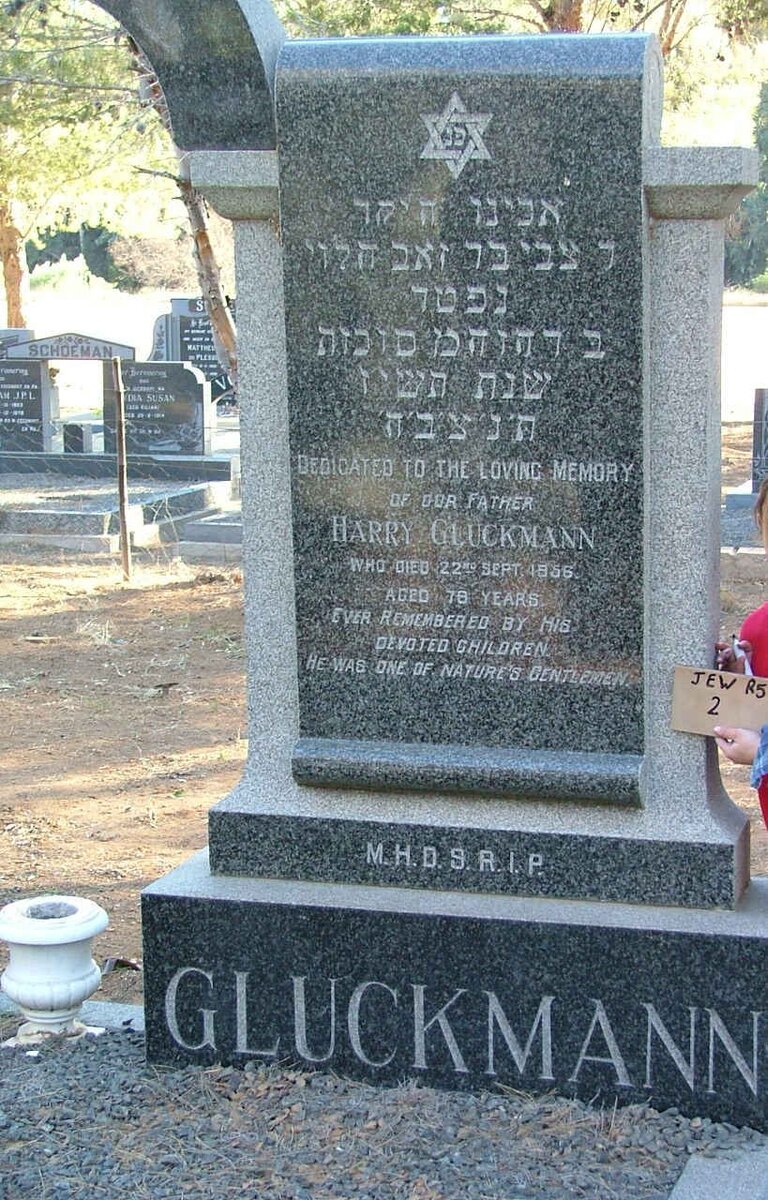 GLUCKMANN Harry - 1956