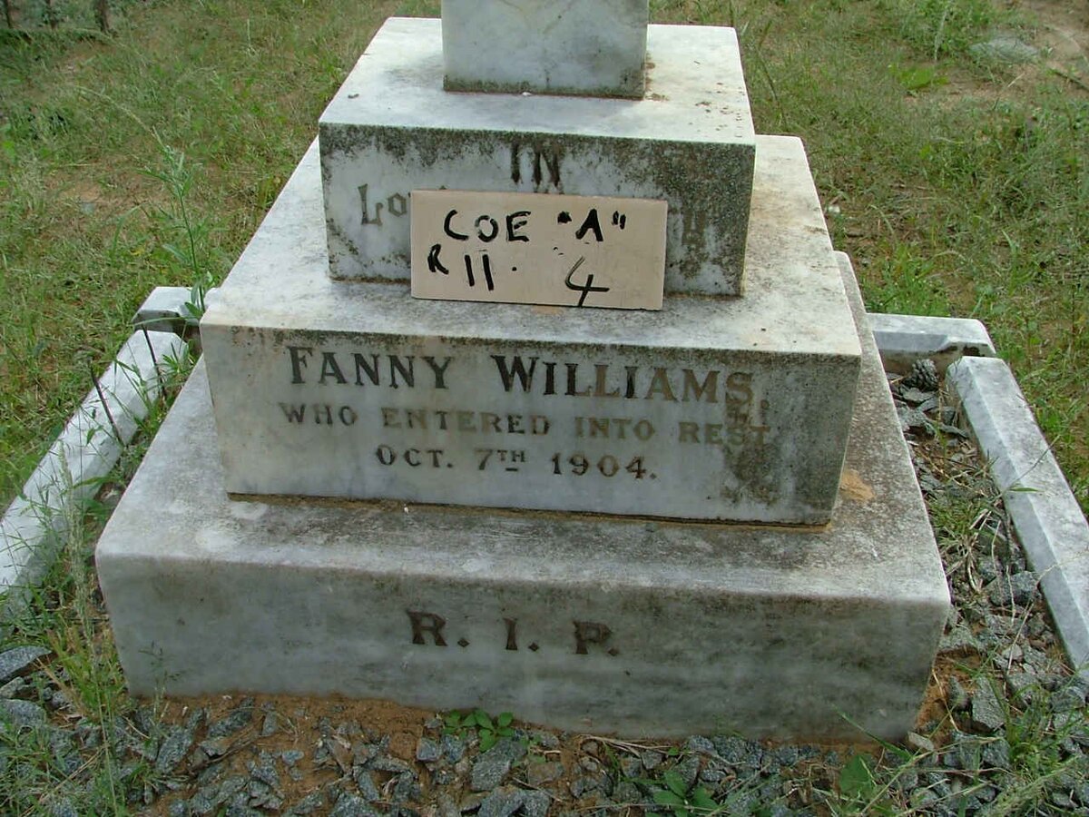 WILLIAMS Fanny -1904