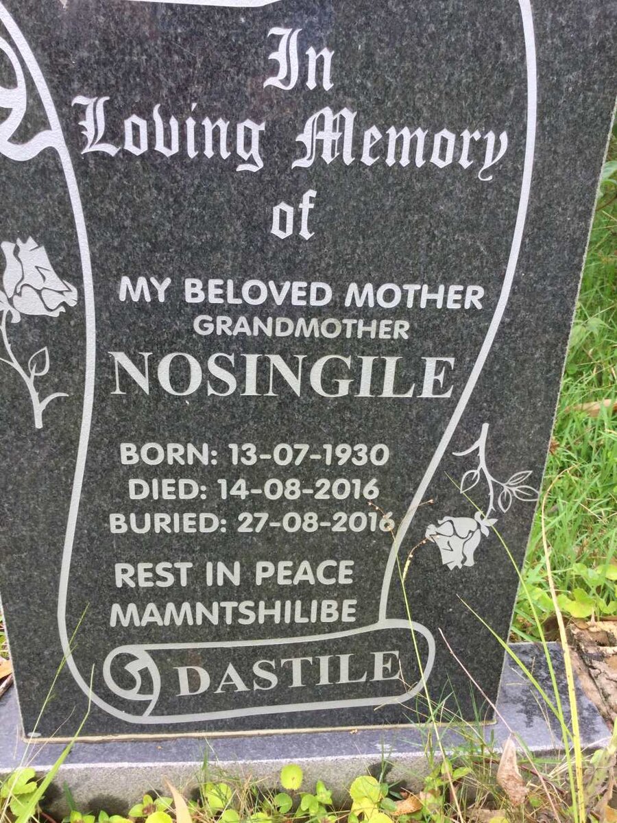 DASTILE Nosingile 1930-2016