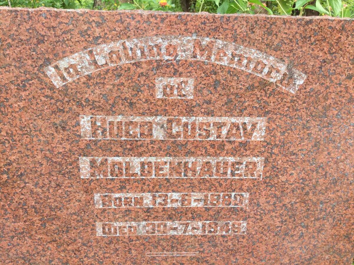 MOLDENHAUER Hugo Gustav 1880-1946